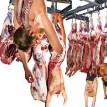 Prop Thtr Stages Naomi Wallace's SLAUGHTER CITY, Now thru 7/14