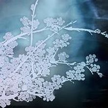 BWW Reviews: STILL NOW is a Fresh Take on an Old Topic