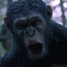 VIDEO: Watch First Official Clip from DAWN OF THE PLANET OF THE APES