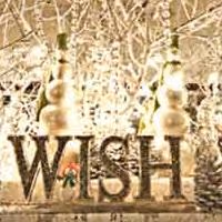 Four Seasons Christmas Trees Helps Decorate Stetson Mansion's 'Christmas…