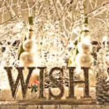 Four Seasons Christmas Trees Helps Decorate Stetson Mansion's 'Christmas…