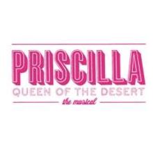 PRISCILLA QUEEN OF THE DESERT Plays Segerstrom Center, Now thru 10/27