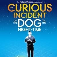 'CURIOUS INCIDENT' Tops Time's Best Plays and Musicals of 2014