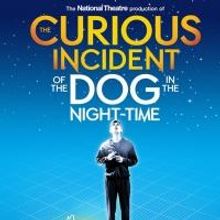 'CURIOUS INCIDENT' Tops Time's Best Plays and Musicals of 2014