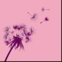 On the Square Productions Teams with MTWorks for THE TRAGEDY OF DANDELION Reading…