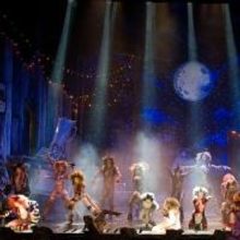 Cats M&eacute;xico llega a sus primeras 100 representaciones