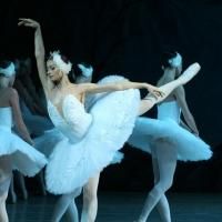 SWAN LAKE Adds at St. Petersburg Ballet Adds Two Performances, 8/19