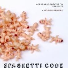 BWW Interviews: Playwright Abby Koenig Talks World Premiere of SPAGHETTI CODE