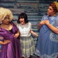 Photo Flash: First Look at Columbus Children's Theatre's HAIRSPRAY