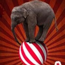 Totem Pole Playhouse Presents BARNUM, Now thru 8/18