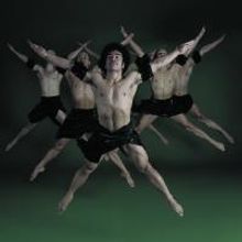 BWW Reviews: FALL FOR DANCE 2014 - Program One