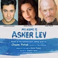 BWW Reviews: MY NAME IS ASHER LEV Examines the Struggle Between Artistic Vision and…