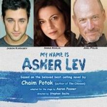 BWW Reviews: MY NAME IS ASHER LEV Examines the Struggle Between Artistic Vision and F