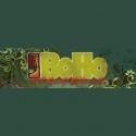 BoHo Welcomes New Executive Director