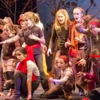 THT Presents Young Performers in 3 FIDDLES AND MORE and LA VOLTA, Now thru 11/23