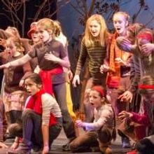 THT Presents Young Performers in 3 FIDDLES AND MORE and LA VOLTA, Now thru 11/23