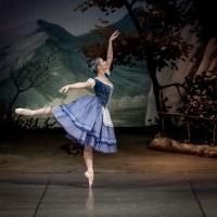 BWW Reviews: The Mikhailovsky Ballet's GISELLE
