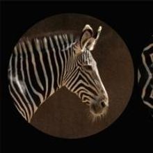 Leslie Thornton's BINOCULAR MENAGERIE to Transform Times Square Into An Urban…
