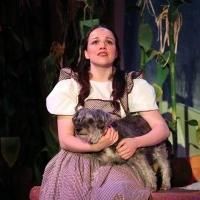 BWW Reviews: Journey Down the Yellow Brick Road to Gretna Theatre to See THE WIZARD O Photo