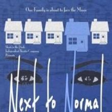 BWW Reviews: Insanity or Genius? Shots In the Dark Presents NEXT TO NORMAL