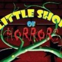 MTI Presents LITTLE SHOP OF HORRORS, Now thru 9/1
