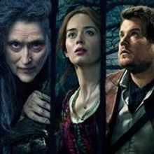 Beans, Capes, Princes & Slippers - Uncovering the Fairy Tales of INTO THE WOODS!
