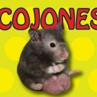 COJONES to Run Last Friday of Every Month at The PIT Beginning 1/31