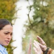 Stephen King Writes Letter to Fans Upset About UNDER THE DOME Changes