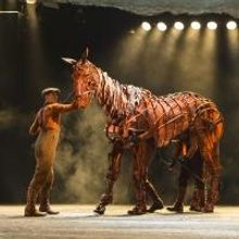 BWW Reviews: WAR HORSE is Spectacular