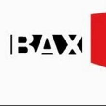 Brooklyn Arts Exchange Receives National Endowment for the Arts Grant