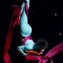 BWW Interviews: Tanya Burka Talks Being an International Circus Performer, Her Career