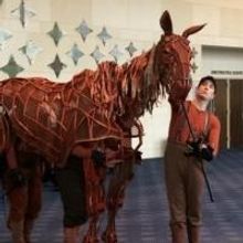 Photo Flash: 'Joey' from WAR HORSE Visits the Hobby Center