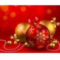 Broadway Performers Team with Kids Performing Who Kare for Holiday Benefit Concert…