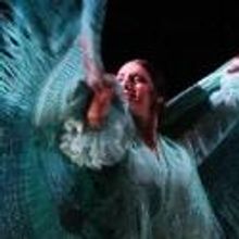 FLAMENCO FESTIVAL MIAMI 2013 Set for 3/14-17