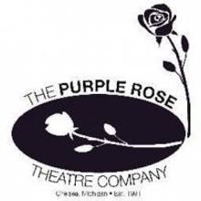 THE VAST DIFFERENCE, LAST ROMANCE & More Set for Purple Rose Theatre Company's 2013-1