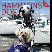New Magazine HAMPTONS DOG Launches in New York