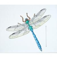 Zimmerli Art Museum Presents BUGS & FROGS & TOADS! OH, MY! ORGINIAL CHILDREN'S BOOK…