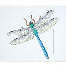 Zimmerli Art Museum Presents BUGS & FROGS & TOADS! OH, MY! ORGINIAL CHILDREN'S BOOK…