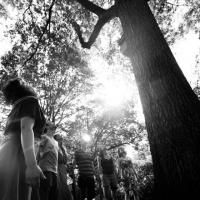 UNDER THE GREENWOOD TREE Begins Performances at The Flea Tonight
