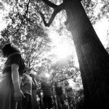 UNDER THE GREENWOOD TREE Begins Performances at The Flea Tonight