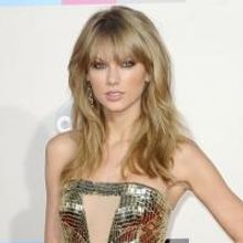 Fashion Photo of the Day 11/25/13 - Taylor Swift