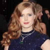 Amy Adams Says, 'I'd Really Love to Play Elphaba From WICKED'