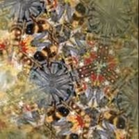 American Symphony Orchestra to Present FORGED FROM FIRE at Carnegie Hall, 5/30