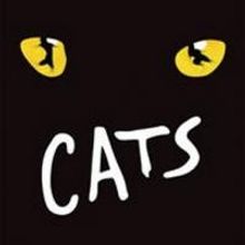 CATS Returns to Toronto; Will Begin in May
