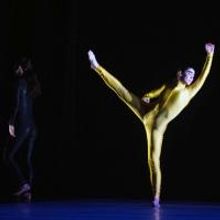 LeeSaar The Company to Make Joyce Theater Debut, 2/8-9