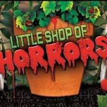 LITTLE SHOP OF HORRORS to Close 11/23 at The Eagle Theatre