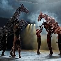 BWW Reviews: WAR HORSE Mesmerizes Cincinnati