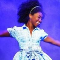 Maltz Jupiter Theatre's THE WIZ Begins Next Month