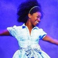 Maltz Jupiter Theatre's THE WIZ Begins Next Month