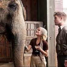 WASSER FÜR DIE ELEFANTEN wird zum Broadway Musical